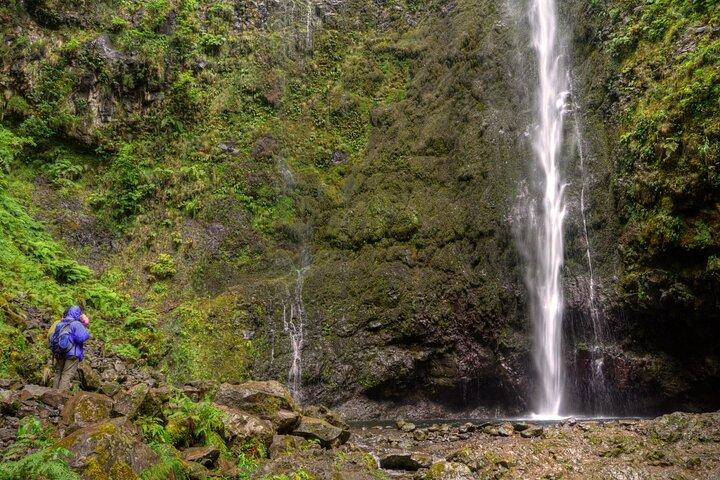 Caldeirão Verde Levada (PR 9) - Guidad Madeira Levada-vandring
