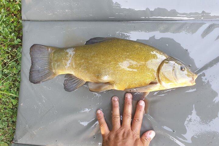 Introduction to fishing in Strasbourg