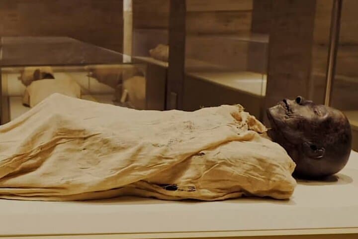 Half Day Tour To The National Museum of Egyptian Civilization