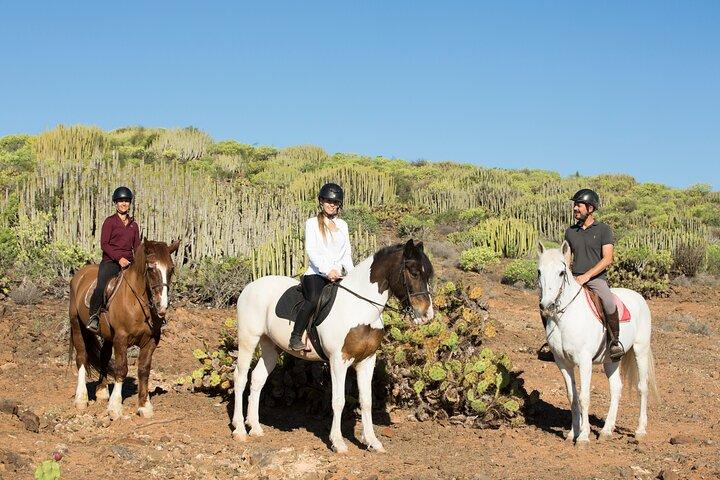 La meilleure expérience d'équitation à Grande Canarie (2 heures)