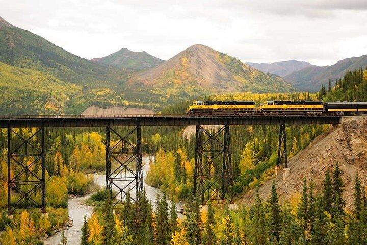 アラスカ鉄道 フェアバンクスからデナリへ 片道