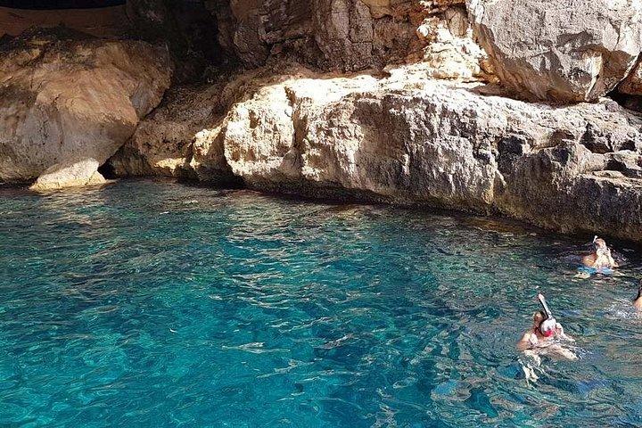Dolphin Watching in Mallorca (Paguera)