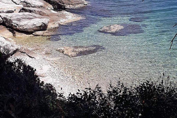 近くの島々へのザダルボートツアー