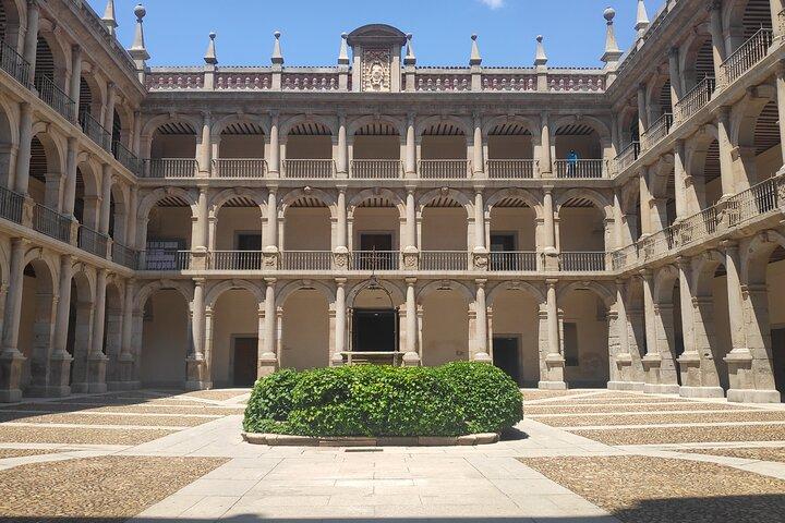 Tour guidato di Alcala de Henares e Cervantes da Madrid