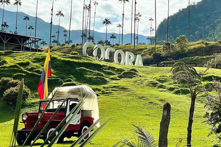 Passeio Vale do Cocora e Cachoeira Santa Rita