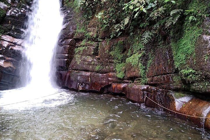 Cocora Valley Tour and Santa Rita Waterfall