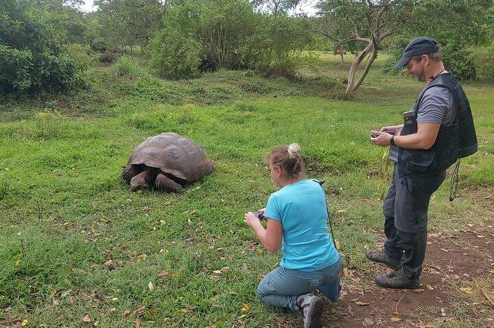 ガラパゴス サンタ クルーズの空港ホテルに転送し、ゾウガメを訪問