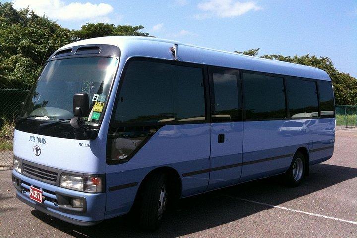 Half-Day Private Guided Ricks Café & Negril Seven Mile Beach Trip