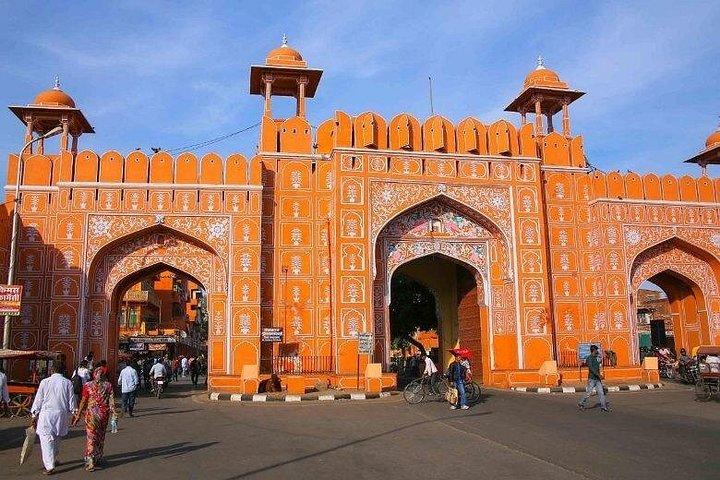 ジャイプール半日ツアー（アメル・ナハルガル城とモンキー寺院）