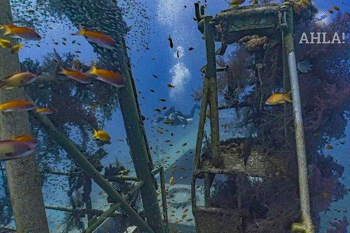 PADI Open Water Diver Course - 5 Days Scuba Diving