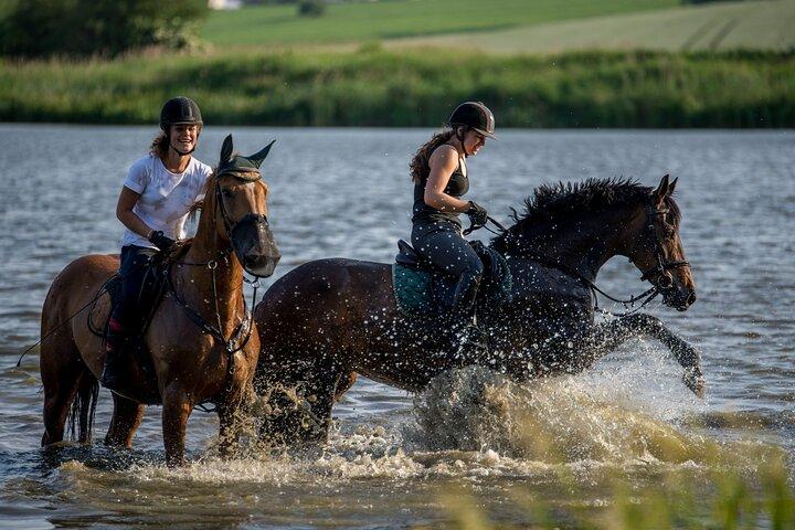 Passeio a cavalo na Suíça boêmia