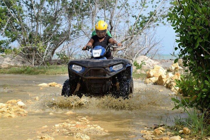ネグリル発サーモン ポイントへのジャムウェスト ATV ツアー