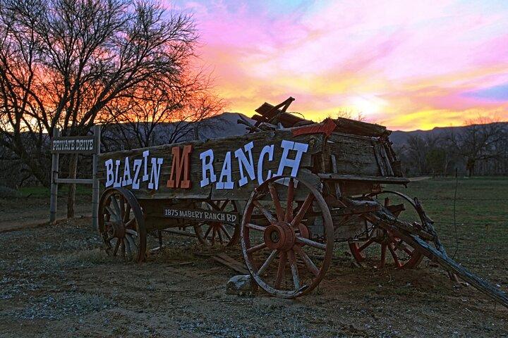 Blazin' M Ranch チケットでのチャック ワゴン サパー & ウェスタン ステージ ショー