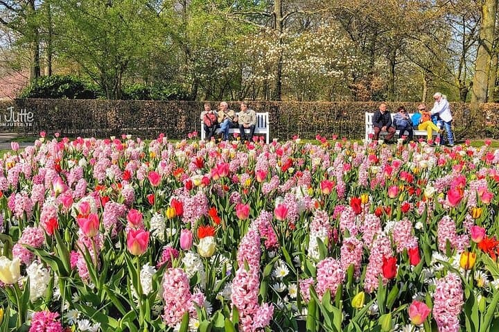 Private Day Trip to Keukenhof Gardens with Entrance Tickets