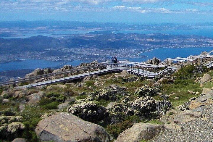 Kunanyi/Mt Wellington Tour und MONA Eintritt