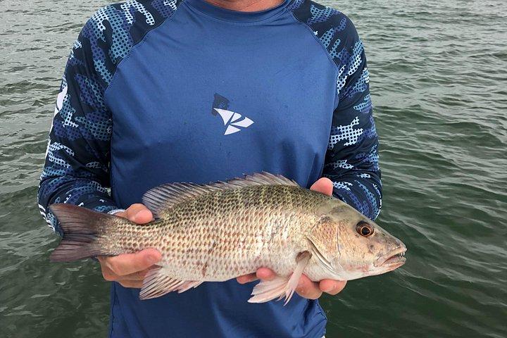 サラソタのチャーターによる沿岸釣り