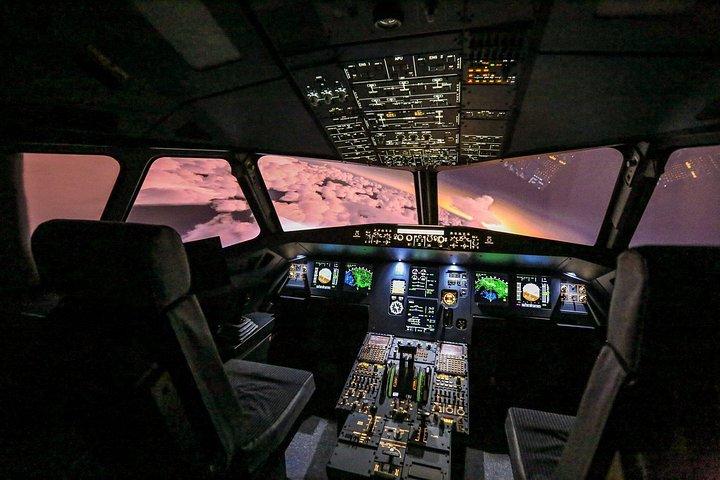 Private Pilotierung eines Flugsimulators in Paris
