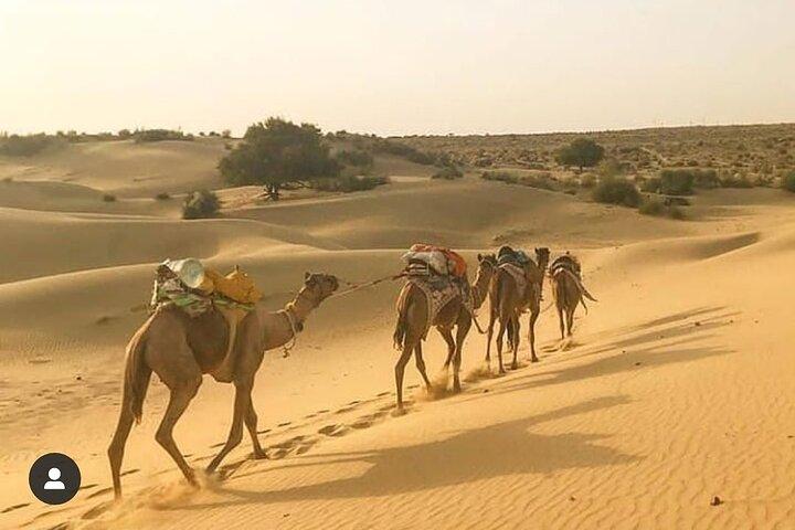 Eventyr ikke turistiske kamel safari