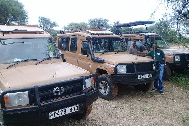 7 días de safari en lodge de gama media en Tanzania
