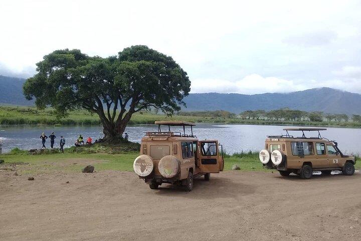 7 días de safari en lodge de gama media en Tanzania