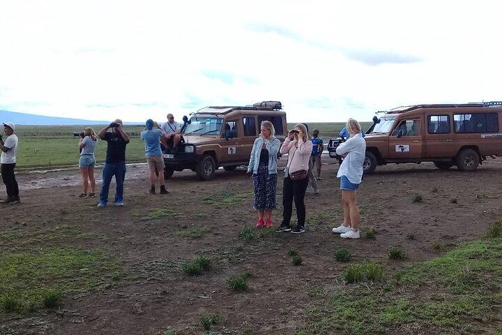 7 días de safari en lodge de gama media en Tanzania