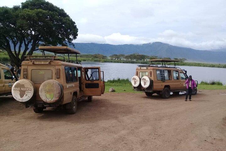 7 días de safari en lodge de gama media en Tanzania