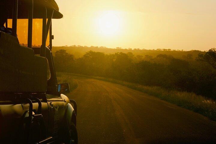クルーガー国立公園ガイド付きデイツアー（ピックアップとドロップオフを含む）