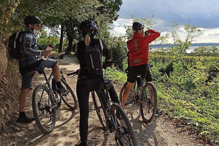 バルドリーノ発電動自転車ツアーとワインテイスティング
