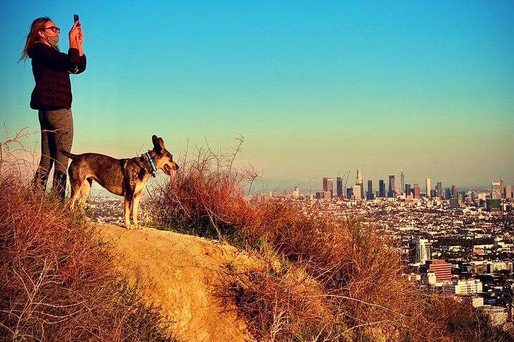 LA : Hollywood Sunset Walk & Hike : Verborgen juweeltjes en schilderachtige uitzichten
