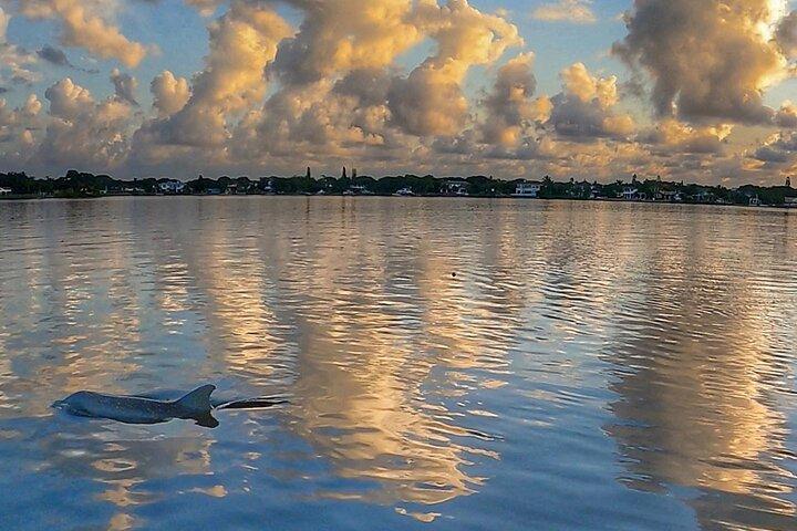 Sunrise Paddle Boarding Adventure i Jupiter