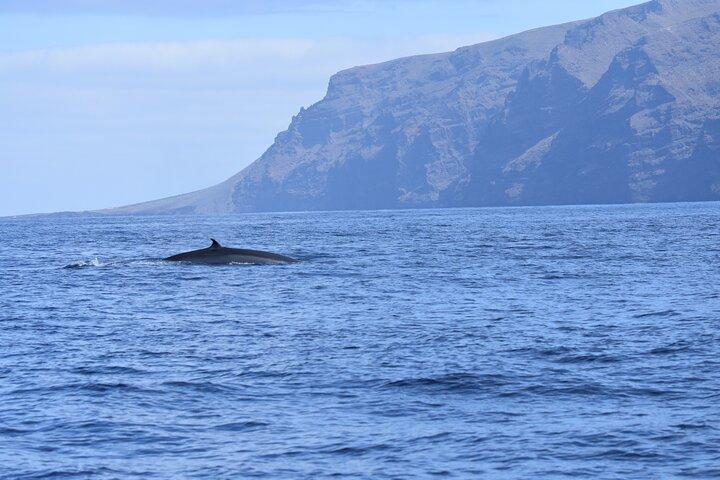 Excursion en voilier en petit groupe aux falaises de Los Gigantes avec déjeuner