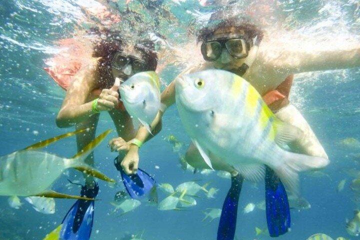 SJD-ホテルまたはホテル-SJD カボ サン ルーカス ゾーンからの片道空港送迎
