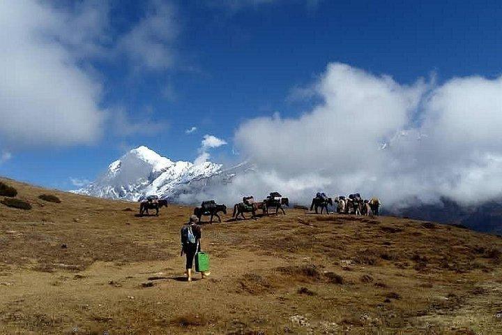 Sikkim Himalayan Goecha-La Trek and Tour