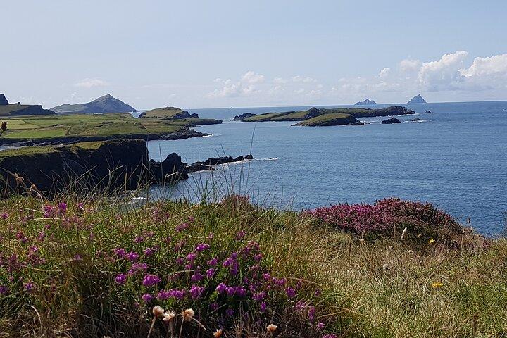 Excursion d'une journée au Ring of Kerry depuis Killarney