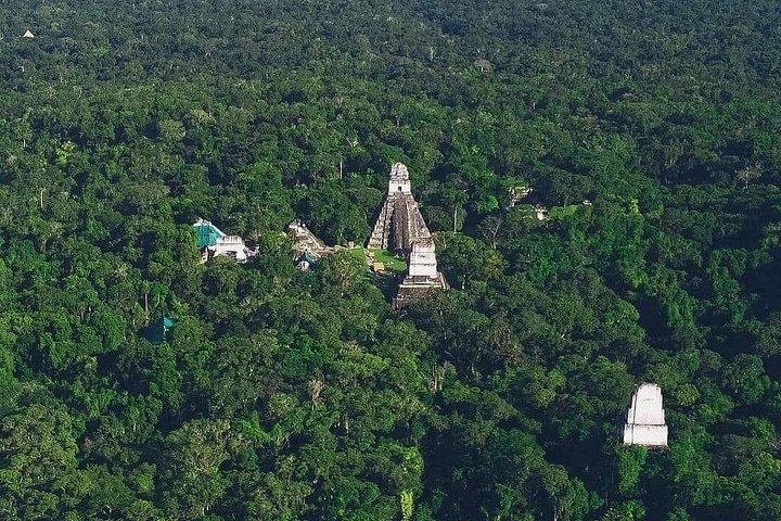 Tikal Shared Experience: Flight + One Day Tour from Antigua