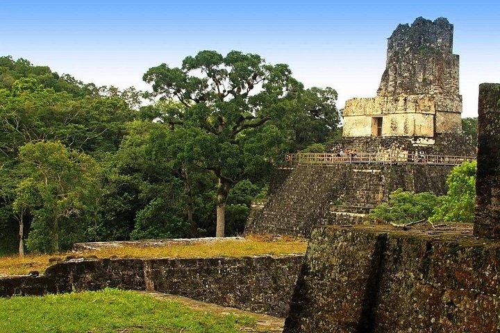 Tikal Shared Experience: Flight + One Day Tour from Antigua