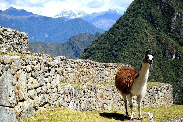 Private Machu Picchu By Train Day Tour