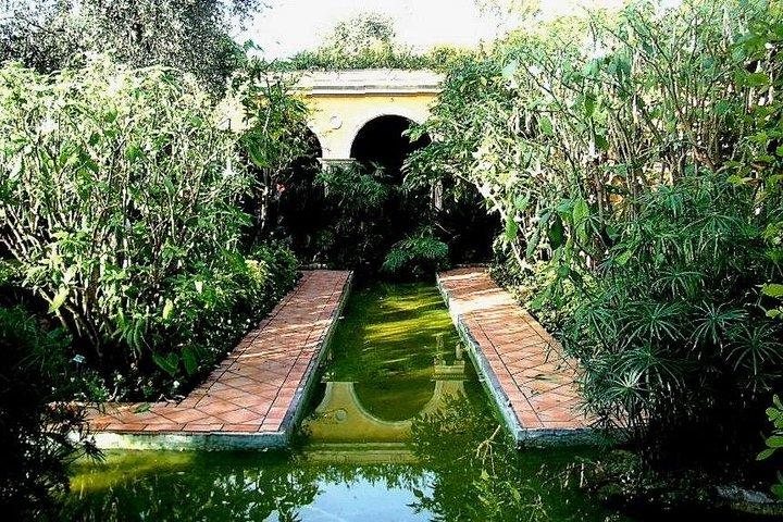 Private Nice City Tour & Villa Rothschild (from Nice)
