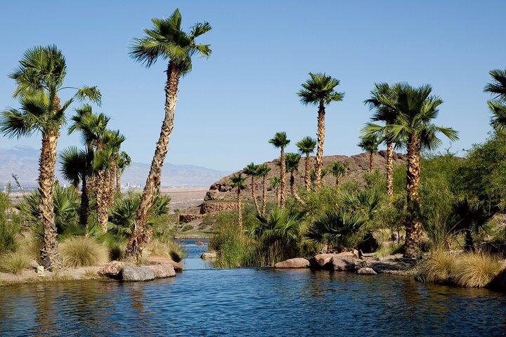 Private Fayoum Oasis Over day du Caire, Egypte