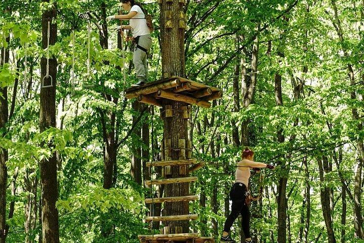 Äventyrspark Klättring Ridning Paint ball Ziplining och mor
