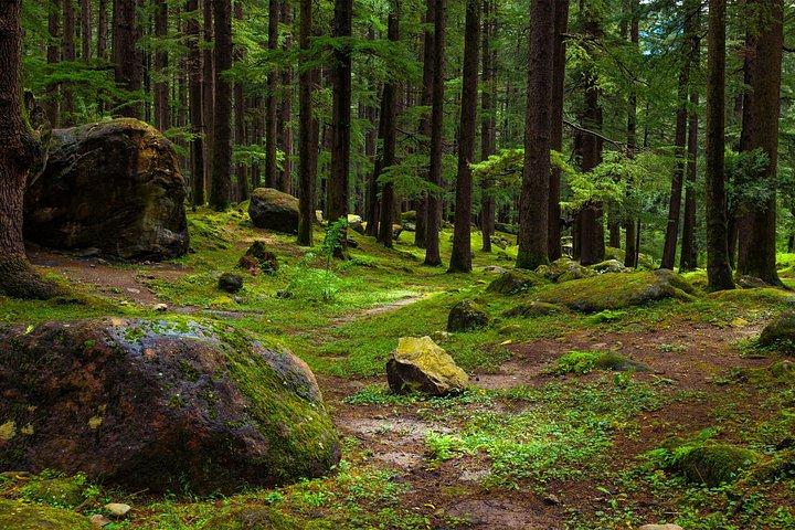 Manali Tour Package