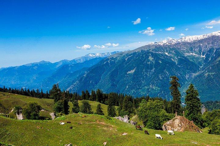 Manali Tour Package