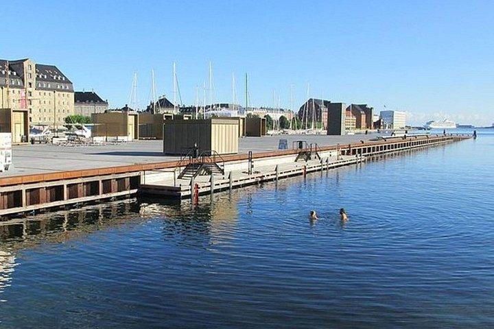 コペンハーゲンの王室の歴史：セルフガイド ウォーキング ツアー