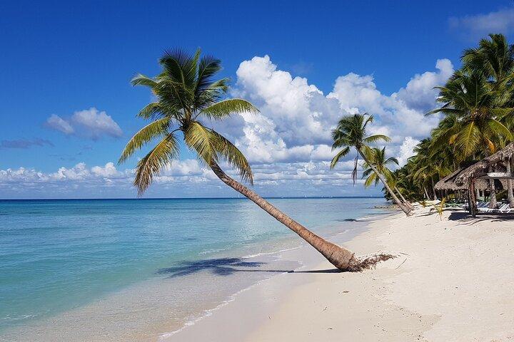 Heldagstur til Saona Island fra Bayahibe med frokost