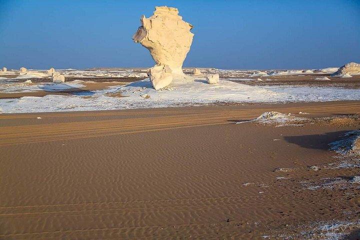 バハリヤオアシスへの日帰り旅行カイロから黒と白の砂漠を訪問