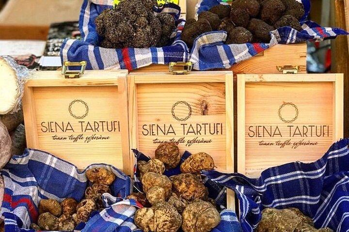 Tryffeljakt Upplev Siena Tartufi