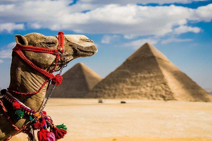 Día privado guiado en El Cairo: desde Hurghada