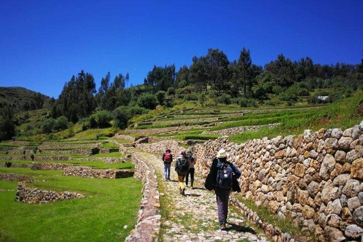 Halvdags acklimatiseringsvandring med lamor och alpackor i Cusco