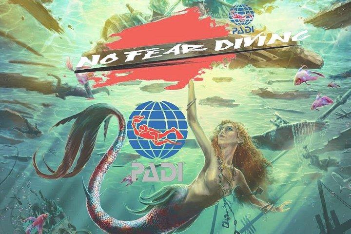 Padi Opdag dykning i Amed Bali