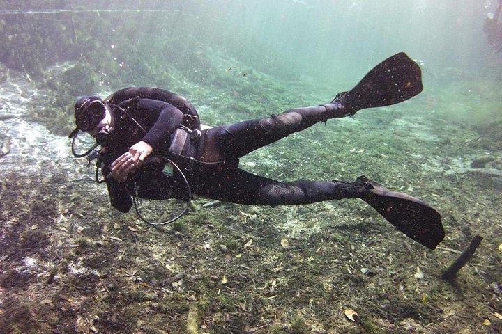 Tulum Area Experiences "Try" Scuba Diving Casa Cenote - Snacks - No experience